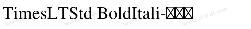 TimesLTStd BoldItali字体转换